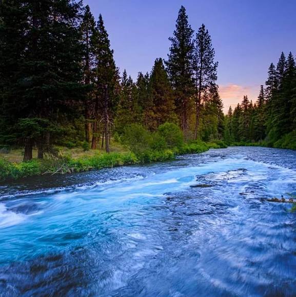 Meet your Posher, Shellie - Picture 1 of 1